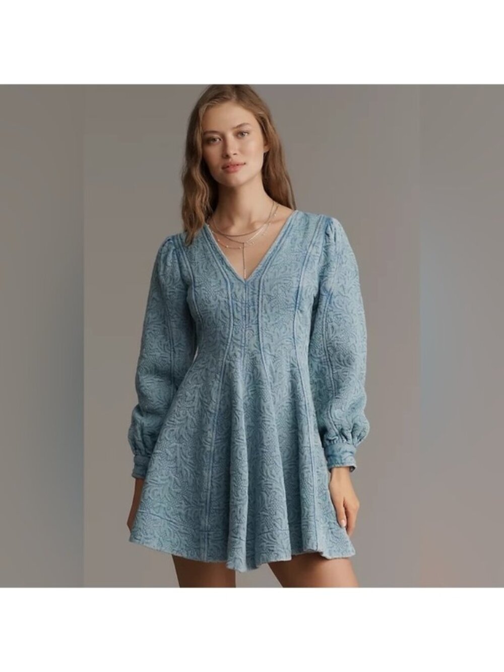 NWT Anthropologie Pilcro Size 2 Long-Sleeve V-Neck Textured Mini Dress